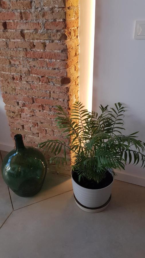 Loft Mariola - Apartamento En El Centro Historico Bocairent Ngoại thất bức ảnh